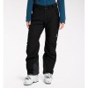 Gondol Insulated Pant Women